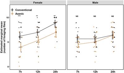 Sex-Dependent Effects of the Microbiome on Foraging and Locomotion in Drosophila suzukii